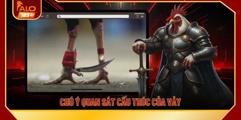 Chú ý quan sát cấu trúc của vảy