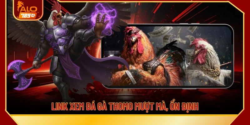 Link xem đá gà Thomo mượt mà, ổn định