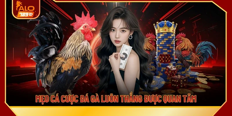 Mẹo cá cược đá gà luôn thắng được quan tâm