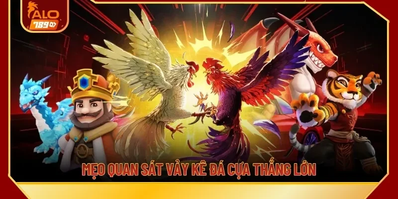 Mẹo quan sát vảy kê đá cựa thắng lớn 