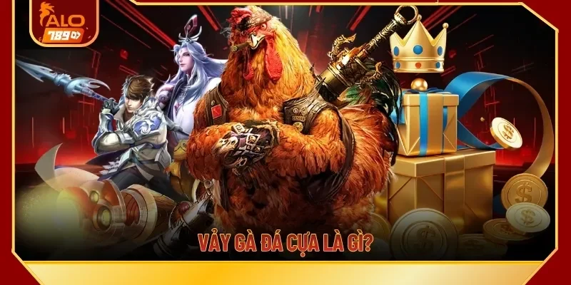 Vảy gà đá cựa là gì? 