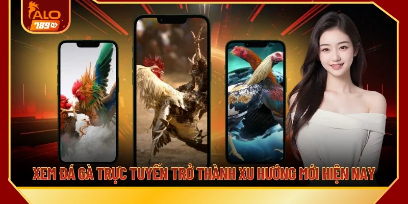 Xem đá gà trực tuyến trở thành xu hướng mới hiện nay
