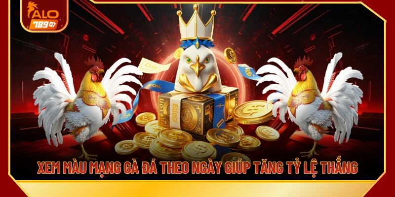 Xem màu mạng gà đá theo ngày giúp tăng tỷ lệ thắng